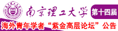 大鸡巴操大骚逼视频南京理工大学第十四届海外青年学者紫金论坛诚邀海内外英才！